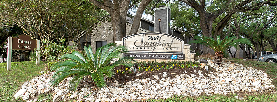 1 & 2 Bedroom Apartments for Rent at Songbird Apartments in North Central San Antonio, TX.