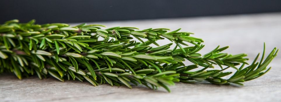 Olive Oil Is Your Key to Fresh Herbs! Here Is Everything You Need to Know Cover Photo