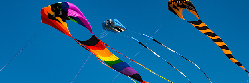The ABC Kite Fest Returns for a Day of Family Fun Cover Photo