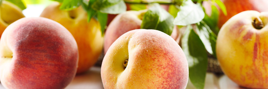 Extend the Shelf Life of Your Fruit with This Handy Guide to Its Storage  Cover Photo