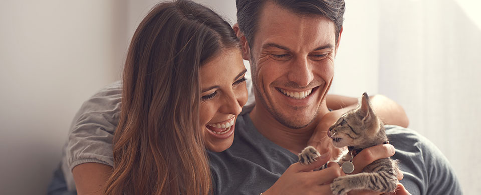 Pictured Couple playing with Pet Kitten