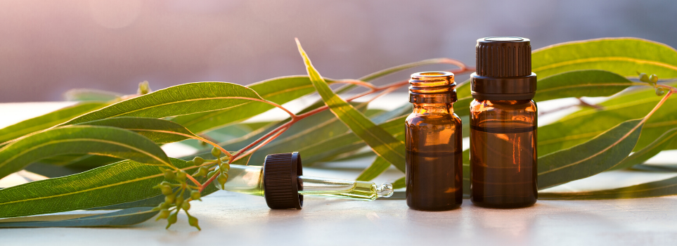 Diffuse Your Way to a Better Mood With These Essential Oil Blends  Cover Photo