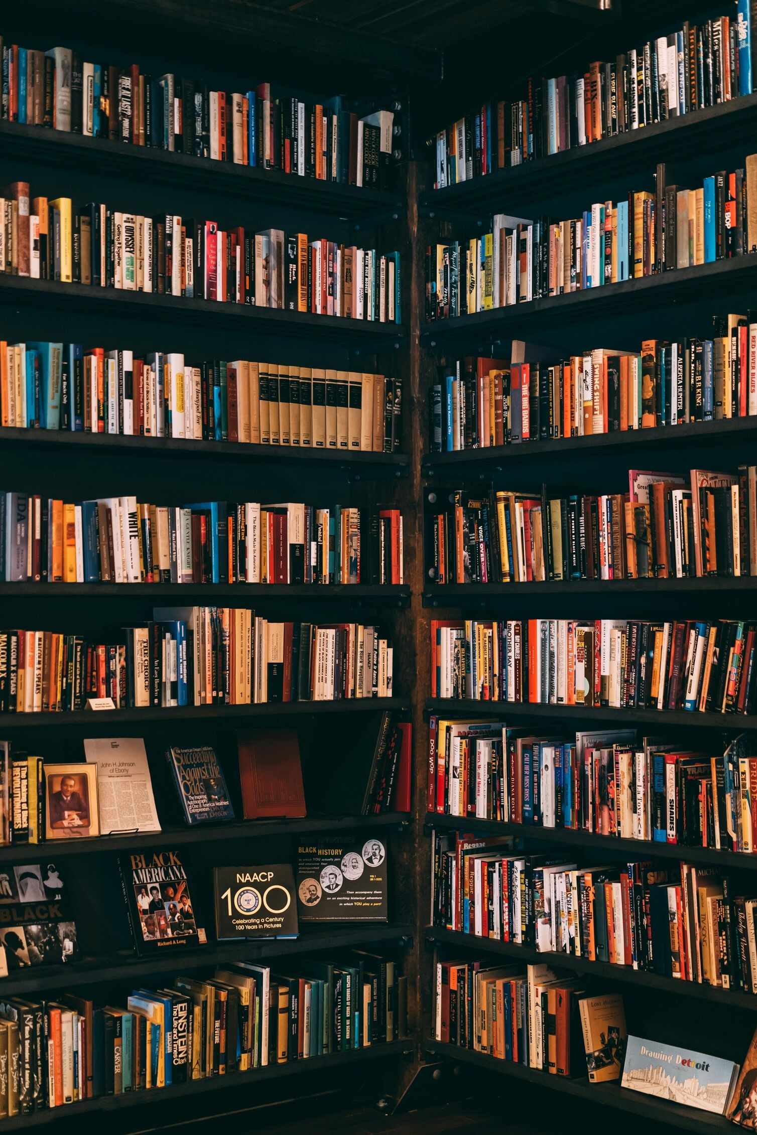 Image for Bookworms’ Picks: Local Bookstores and Summer Reads