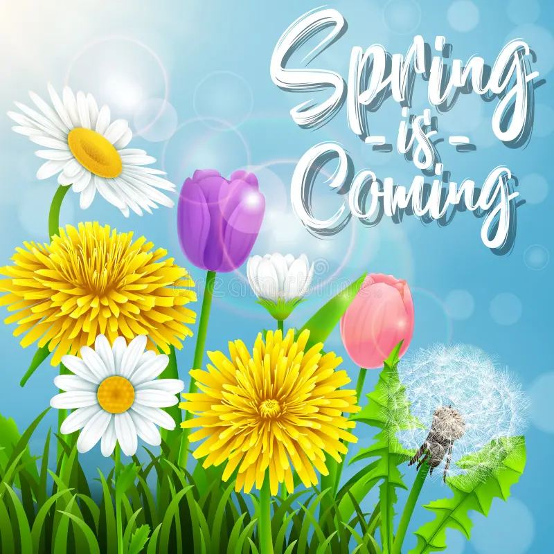 Image for Embrace The Change: Spring Is Coming!