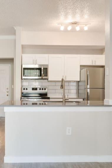 Modern Kitchen Fully Equipped with Stainless Steel appliances