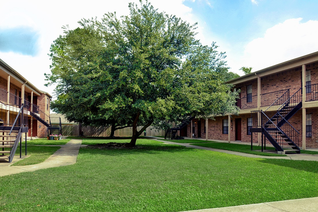 Trees Outside The Trace at North Major