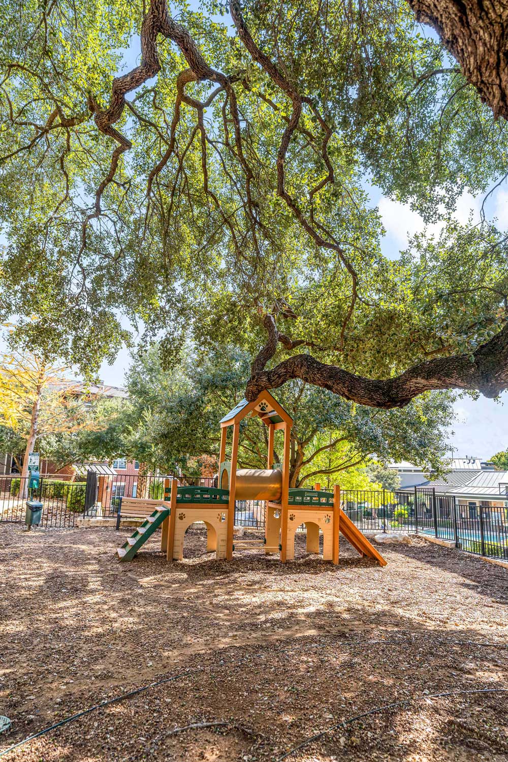Outdoor pet play area with wooden agility structure beneath large shade trees and fenced community grounds