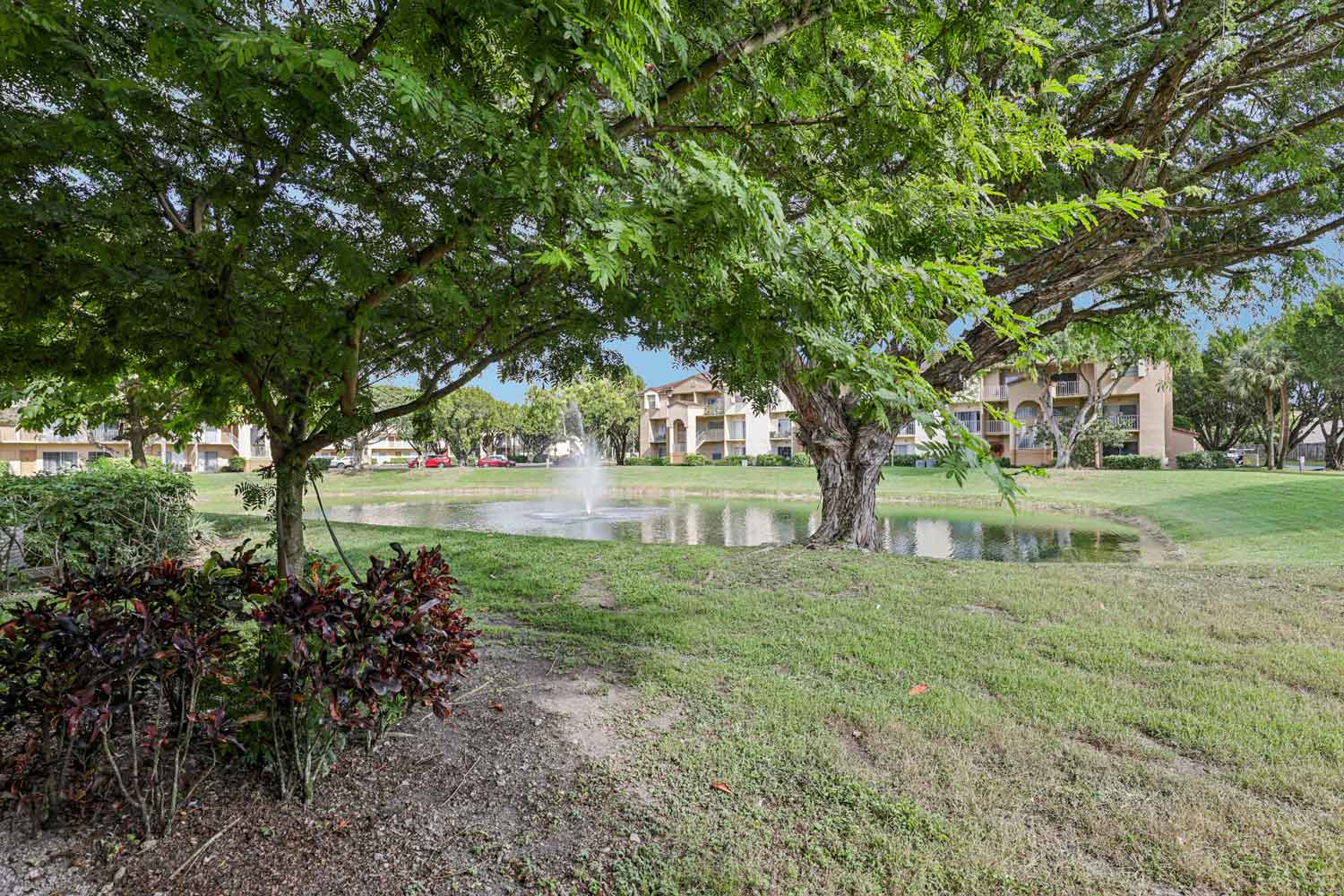 Shaded lake view with mature trees, grassy shoreline, and fountain in the distance