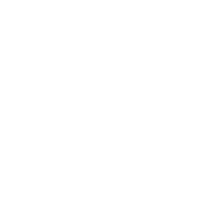 Waterford Point Logo