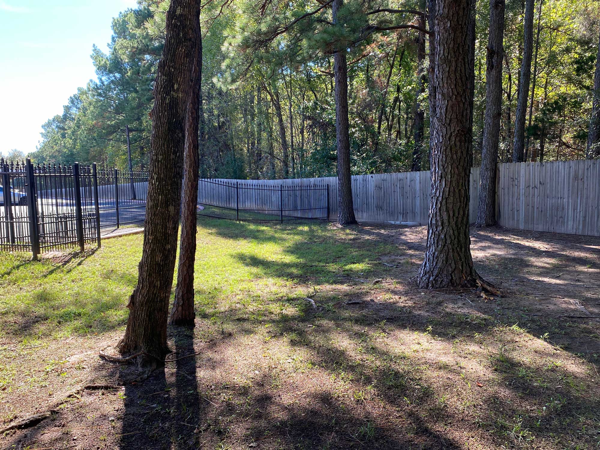 Dog Park in Shaded Area Village at Westlake