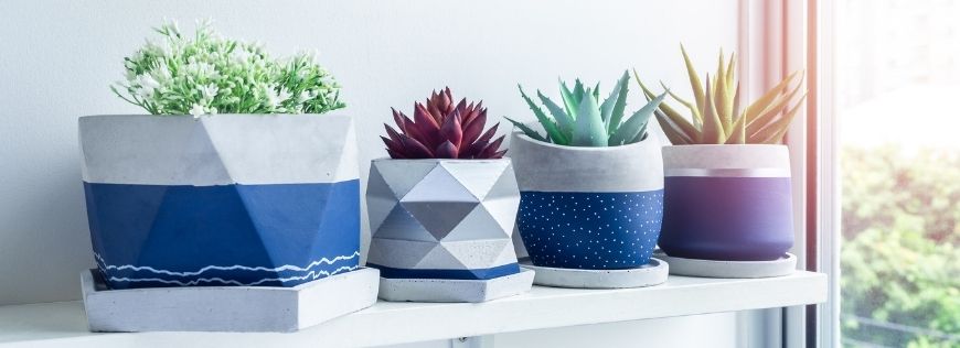 Keep Yourself Busy This Weekend with This DIY Project for Lightweight Concrete Planters  Cover Photo