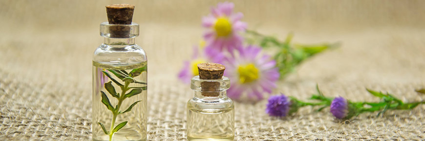 Your Apartment Will Smell Good, and You Will Feel Good with These Natural Scent Suggestions Cover Photo