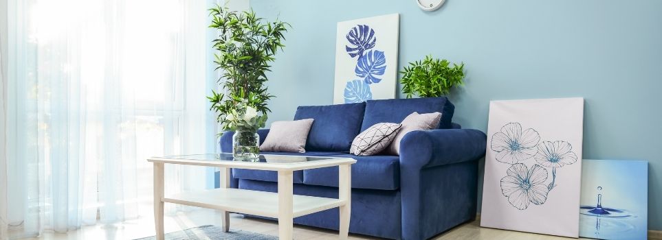 3 Plants That Will Spruce Up Your Apartment Interior, Readily Available to Order on Amazon ASAP  Cover Photo