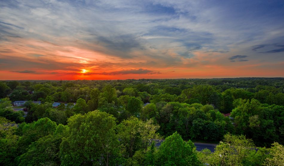 Stunning Views at White Oak Towers Apartments
