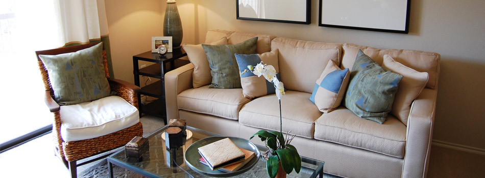 Cozy Living Room Furnishing