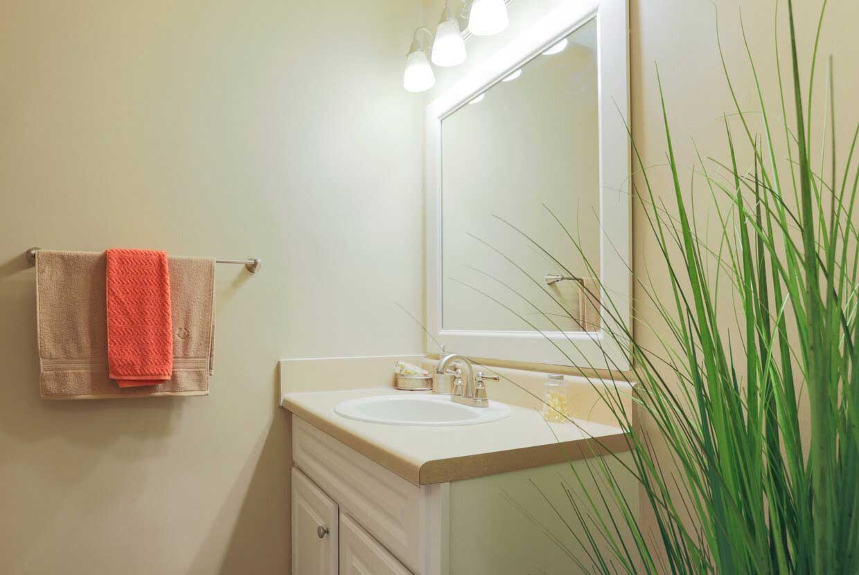 Well-Lit Bathroom Vanity at Wildwood Ridge Apartments