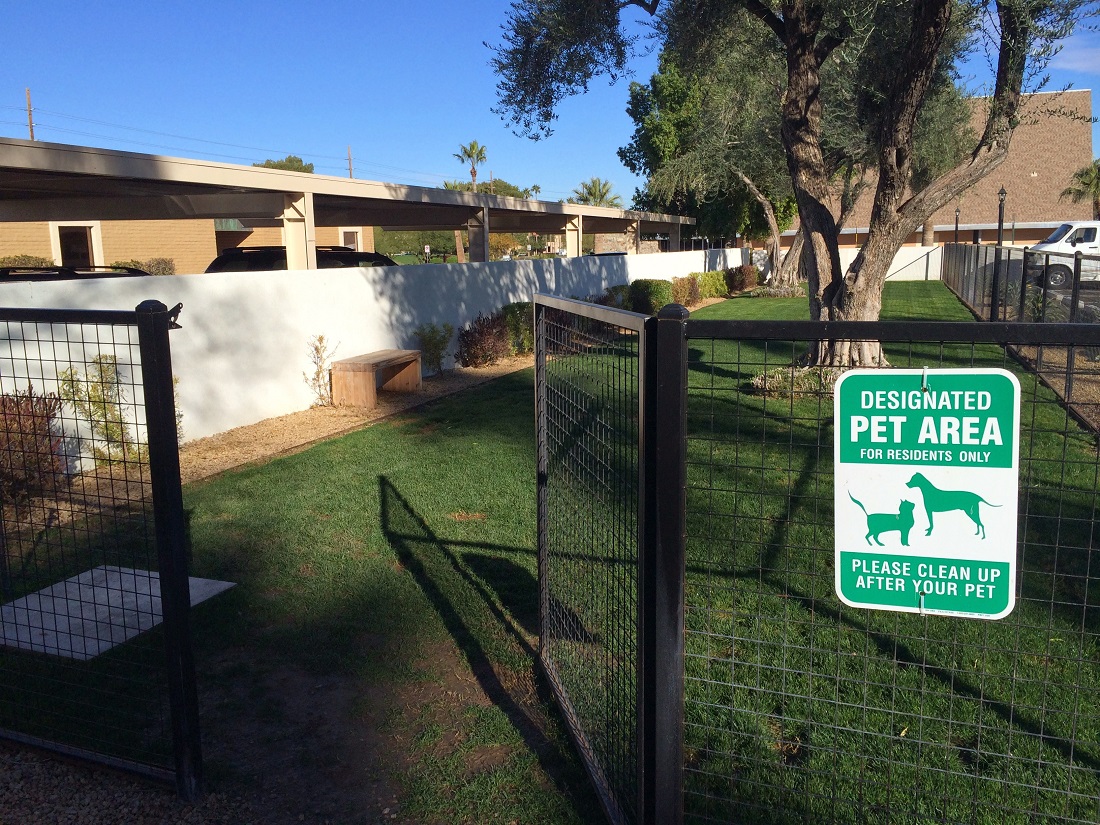 Pet-Friendly Community at The Winfield of Scottsdale Apartments in Scottsdale, Arizona