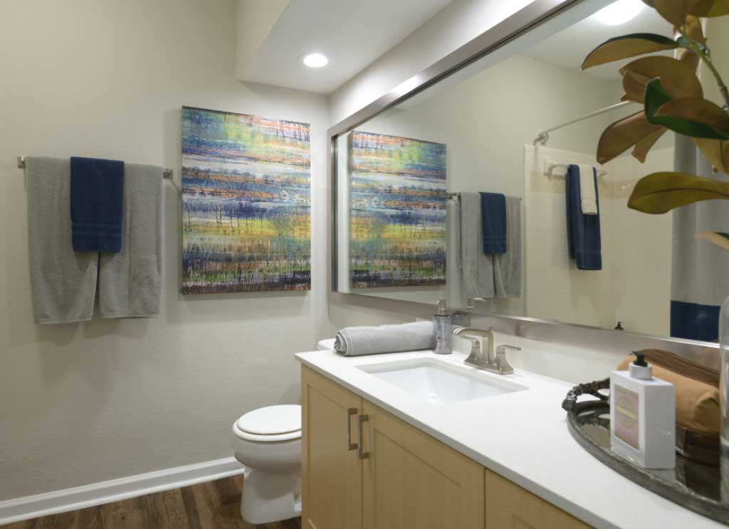 Refined Bathrooms at Woodhaven at Park Bridge Apartments in Alpharetta, GA