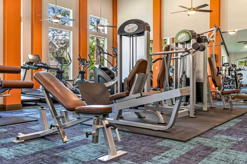 Strength training area with weight machines, padded benches, and natural lighting in bright apartment gym