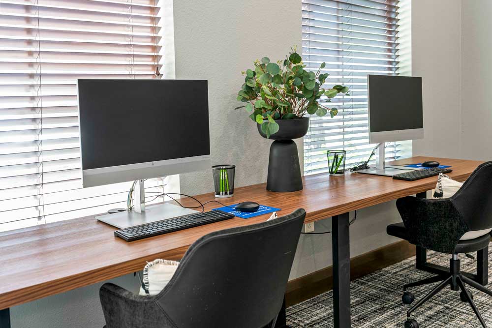 Two computer workstations with modern chairs and a wood table set between windows with blinds and a leafy green plant