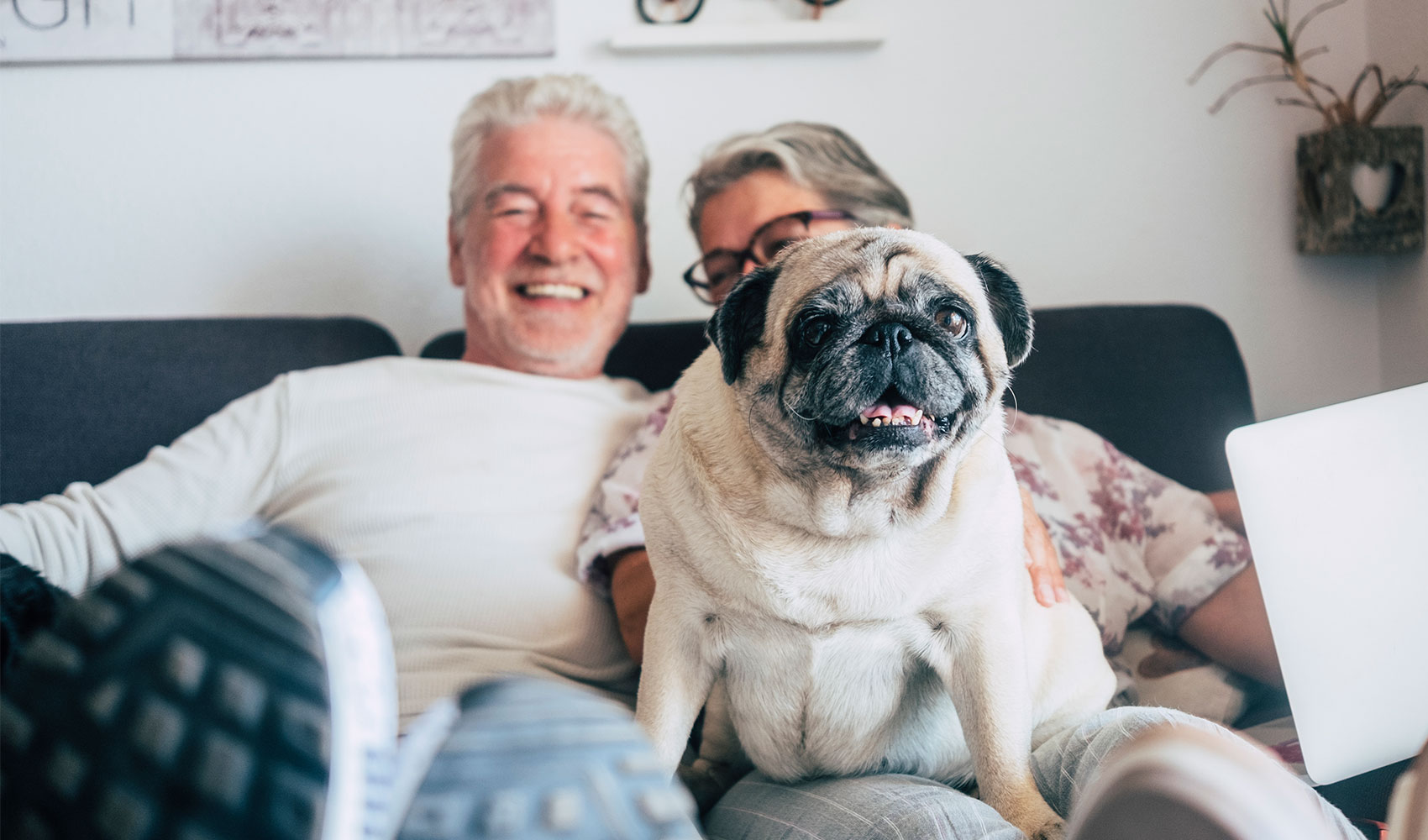 A senior couple with their pet dog